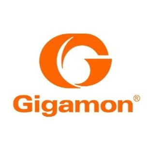 Gigamon