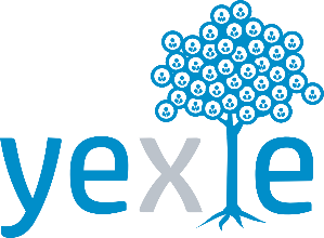 Yexle Digital Services India Private Limited